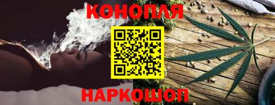 шишки Будённовск