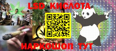 шишки Будённовск
