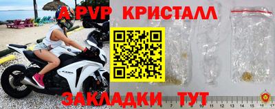 шишки Будённовск