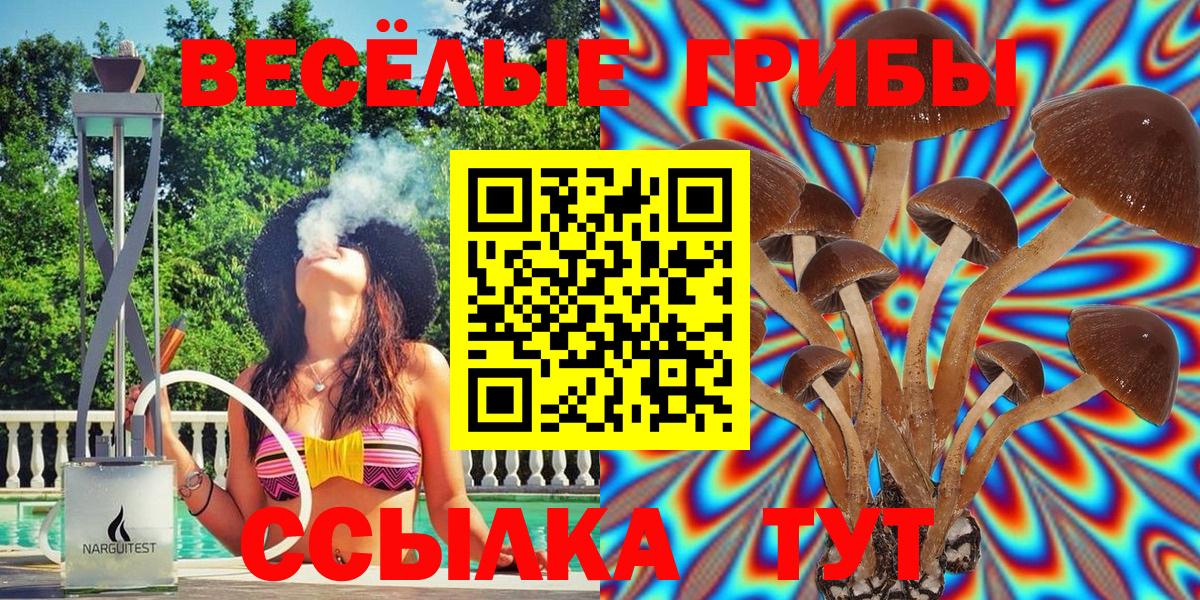 Псилоцибиновые грибы MAGIC MUSHROOMS Междуреченск
