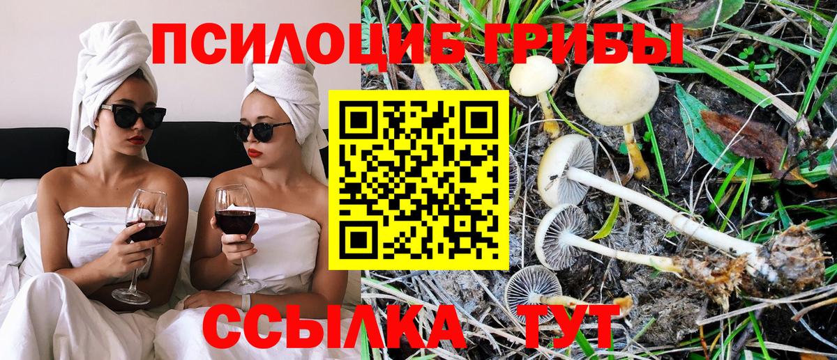 Псилоцибиновые грибы GOLDEN TEACHER  Вход с VPN  Междуреченск 
